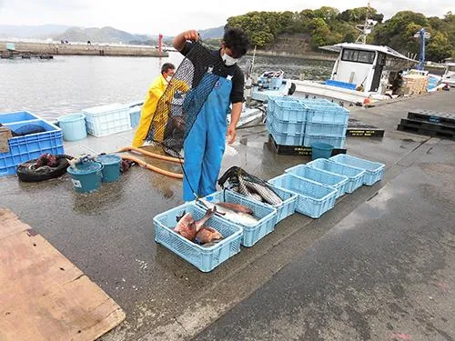 帰港後、下処理済みの釣果が水揚げされる