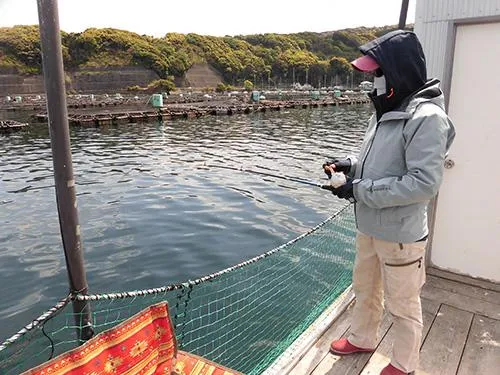 実は筏の外側で天然魚を釣る事も可