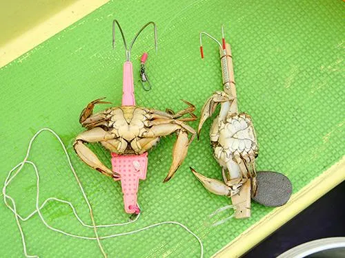 カニの位置、向き等も重要。船長に聞いて見よう