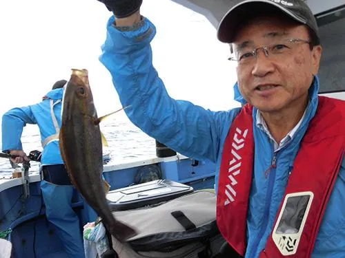 船中一番手、コロコロした抱卵イサキ
