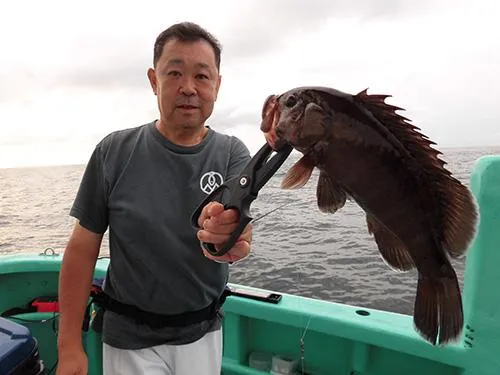 調理にちょうど良いサイズのマハタも！