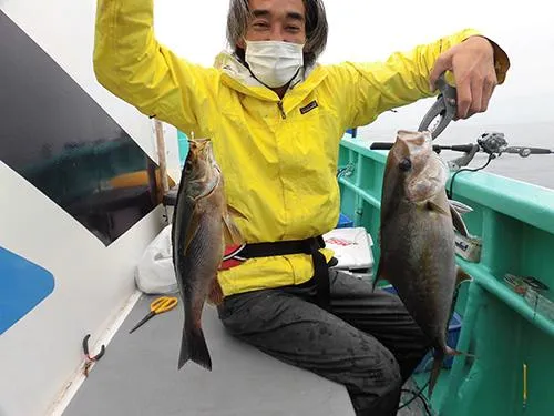 ショゴ（カンパチの若魚）も釣れる！