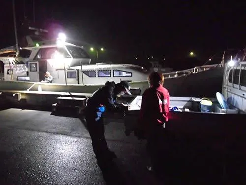 船前の軽トラで受け付け