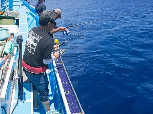 カツオのビッグパワーを思う存分楽しめる