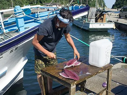 常連さんが仕立てのお客さんの魚を捌いてくれていた