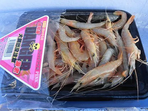 餌のお代わり無料
