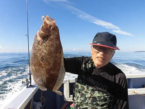 型の良いガンゾウビラメ