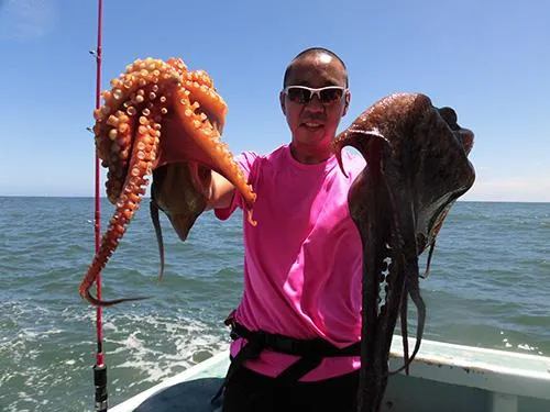 型良く大満足、味は折り紙付き！