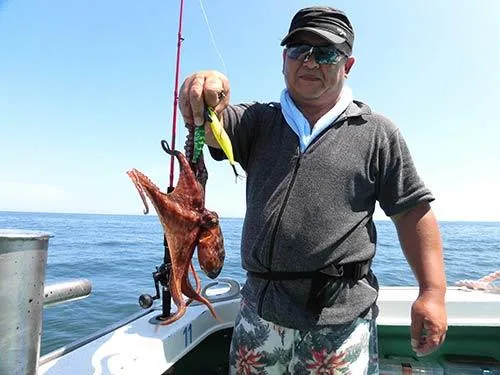 コツコツ粘りの釣りで手堅くゲット！