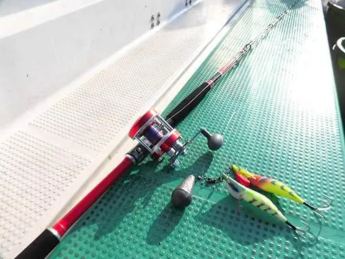 充分なクオリティの貸し竿完備