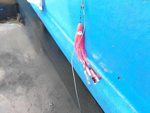 派手派手な集魚デコレーション