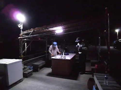 4時30分頃受け付けが開始される
