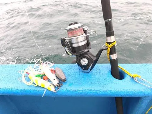 ヒラマサ・ジギングのタックルも流用可