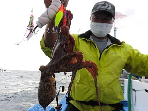 石を抱いてマダコが釣れて来た