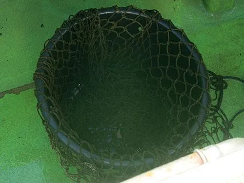 バケツ内には水を入れずスカリをセット