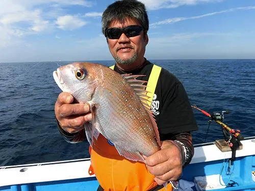 マダイ、2匹目！