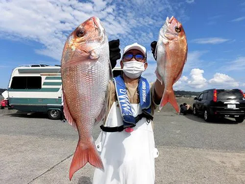 この日最大マダイ2.7kg！