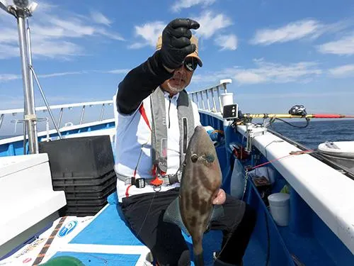 大型のウマヅラハギだ