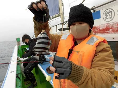 シマダイが交じった