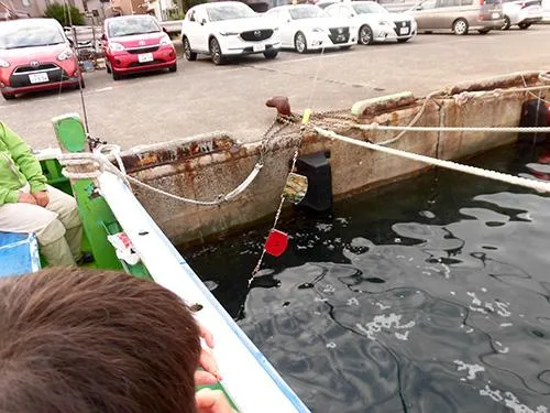 アワビシートの集魚板