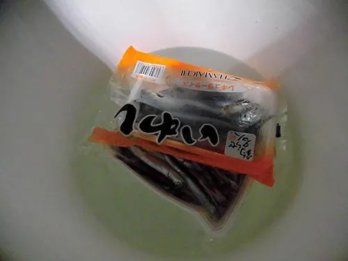 カタクチイワシ