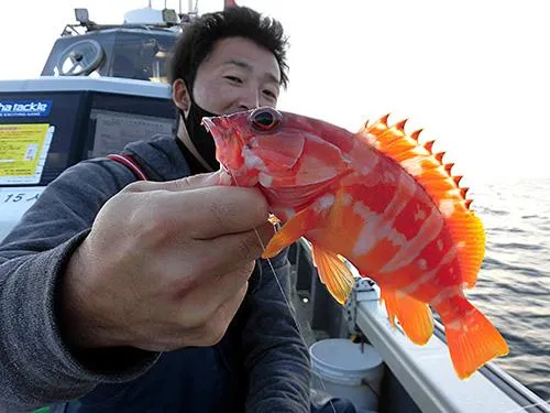 左舷胴の間（中央）アカハタ登場！