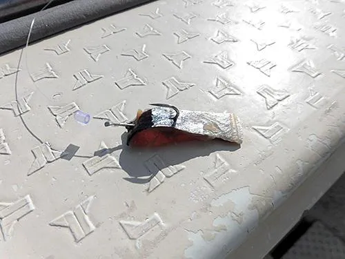 胴突き仕掛け
