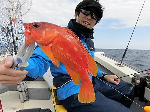 釣れれば良型多し