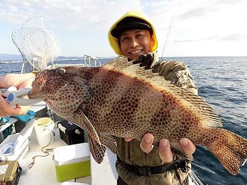 大きなオオモンハタが釣れた！