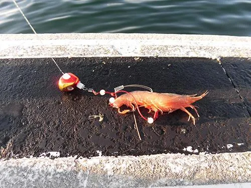 孫バリ、親バリの順にハリを刺す