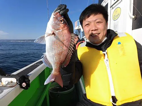 マダイの食いが安定してきた