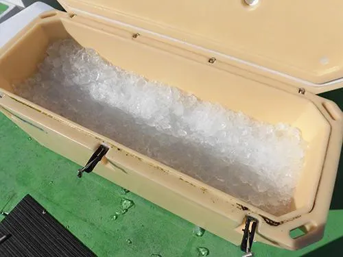 氷は船のクーラーにたっぷり