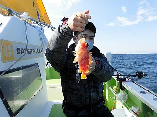 アヤメカサゴ。アマダイ釣りは高級魚オンパレード