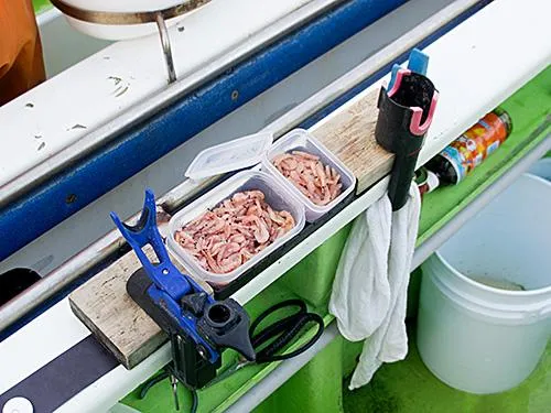 アマダイ釣り師はカワハギ釣り師に負けず劣らずシステム化している