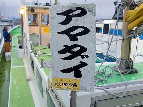 船に付いている釣り物の看板