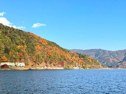 紅葉も綺麗な河口湖。年内は目でも釣果でもまだまだ楽しませてくれる