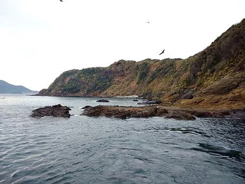 高島のノリ瀬