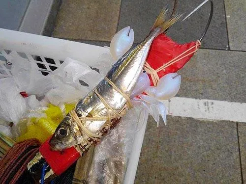 これで釣れていました。テンヤ＋アジ仕掛け