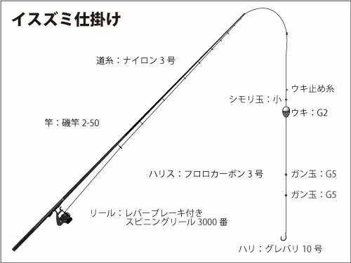 イスズミ仕掛け図