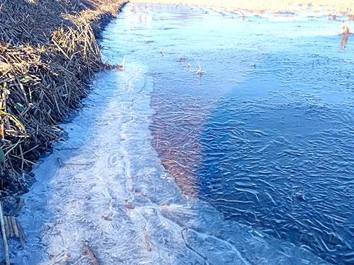 結氷した釣り場