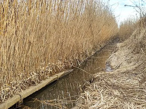 やっと見つけた釣り場