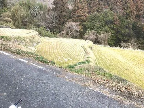 必釣ポイント付近の田園風景