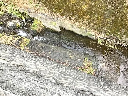 上流の流れ込みポイント