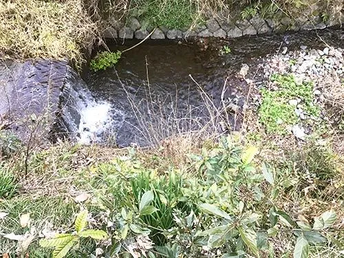 嵯峨谷川のマイポイント