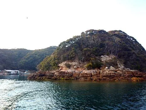 高島のクジラ