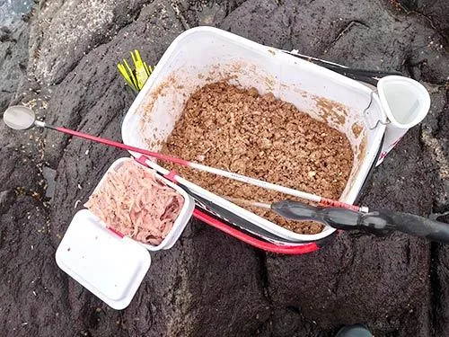 コマセと付け餌のオキアミ