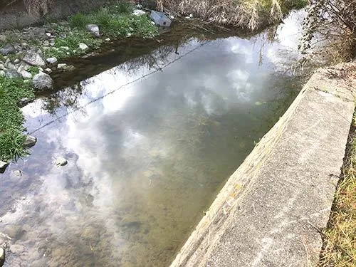 当日選んだ淀みのポイント