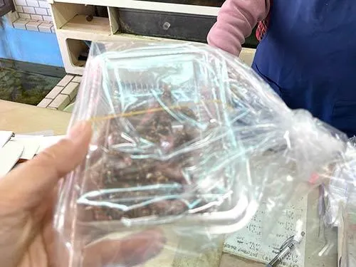 店主のお母さんに勧められたイソメを購入
