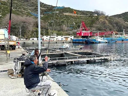 養殖場を横目にサビキ釣り開始