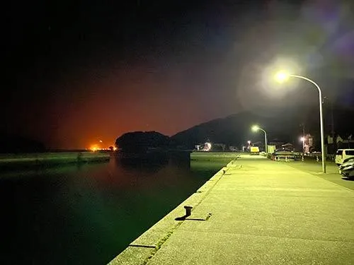 まだ暗い堤防。街灯が明るく足元を照らす